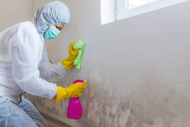 Forensic Mold Investigation in Marquette Heights, IL