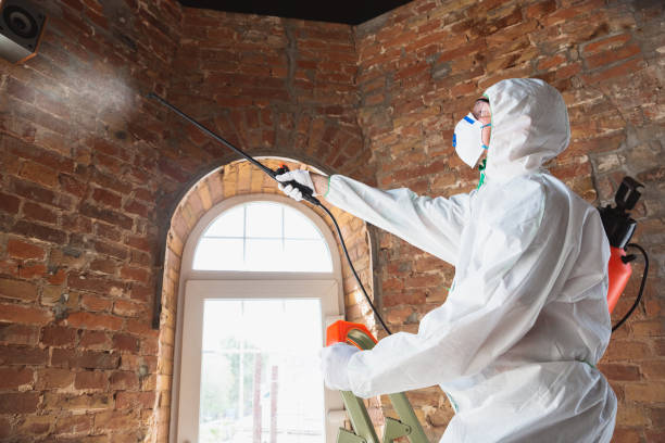 Best Forensic Mold Investigation  in Marquette Heights, IL